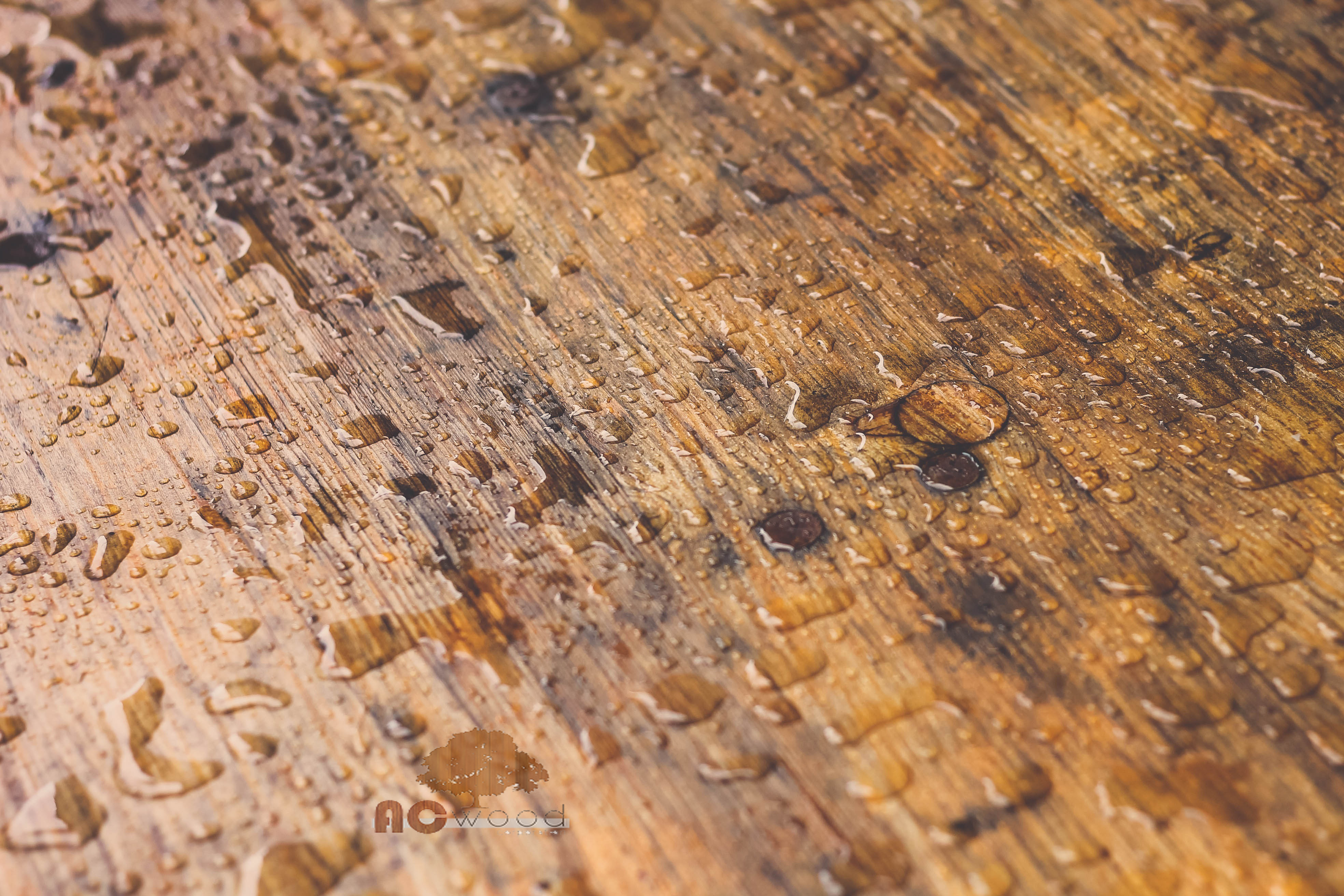 Nước mưa rơi trên sàn gỗ là nguyên nhân chính gây hư hại sàn gỗ