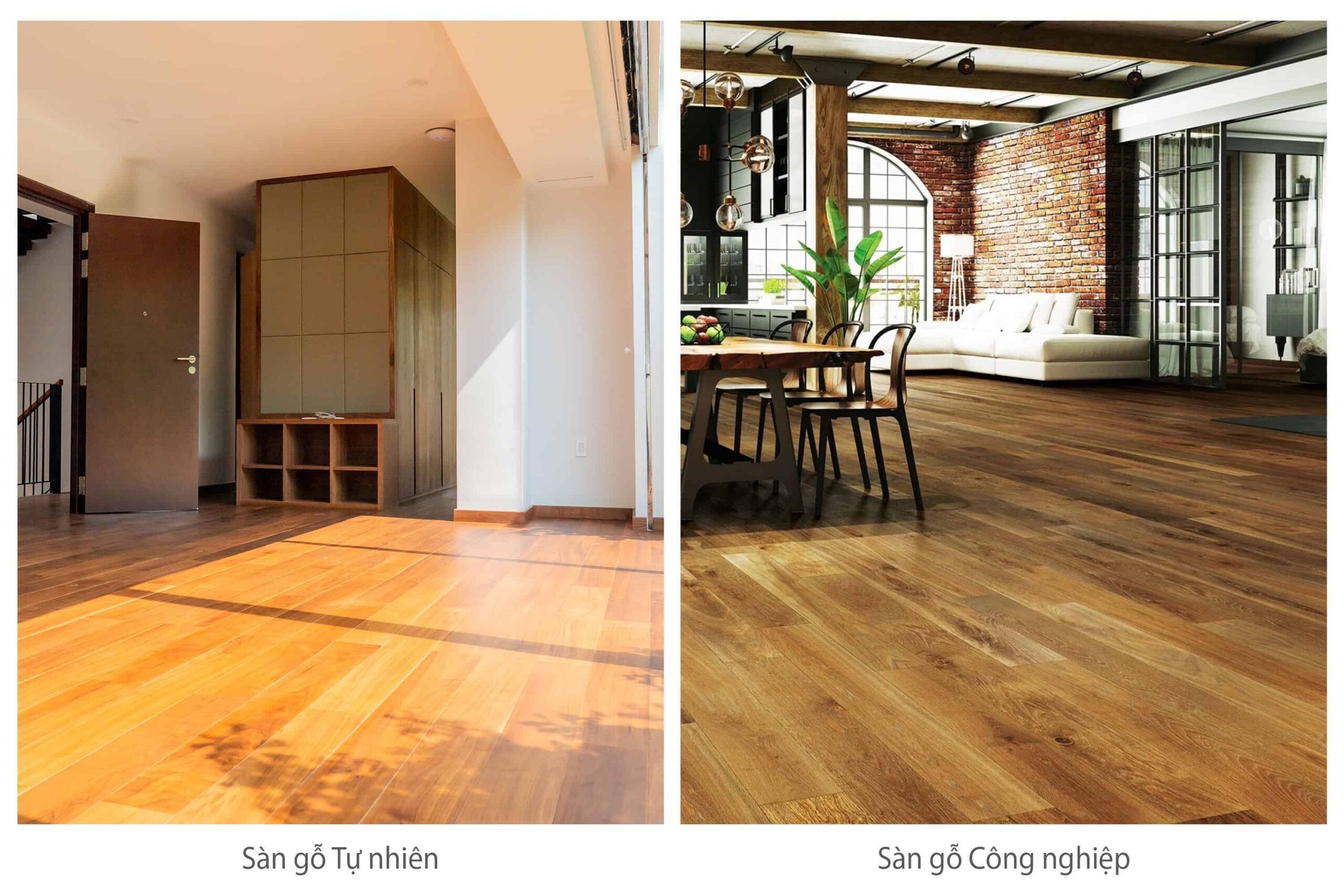 so sánh sàn gỗ công nghiệp và sàn gỗ tự nhiên