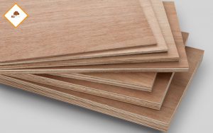 plywood là gỗ gì?