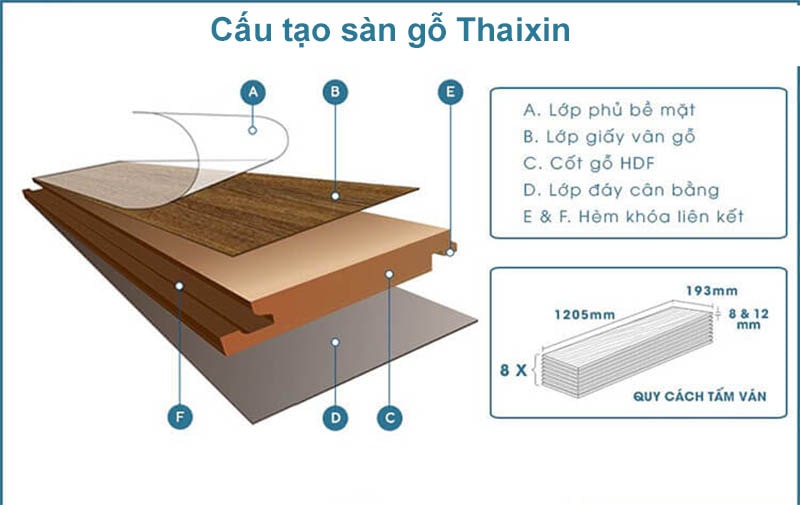 cấu tạo sàn gỗ Thaxin