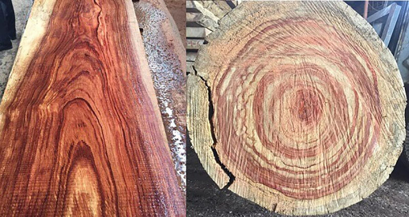 nhận biết gỗ hương đá