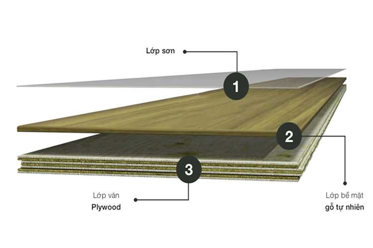 Đặc điểm cấu tạo của sàn gỗ Walnut
