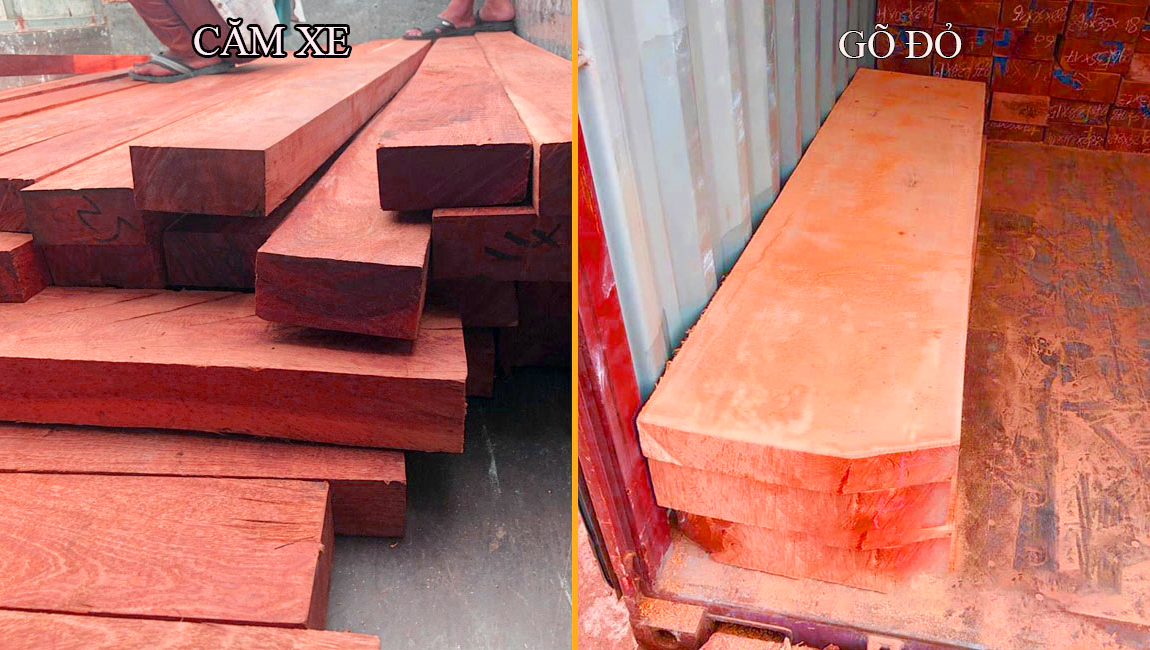 So sánh ưu nhược điểm của gỗ căm xe và gỗ đỏ