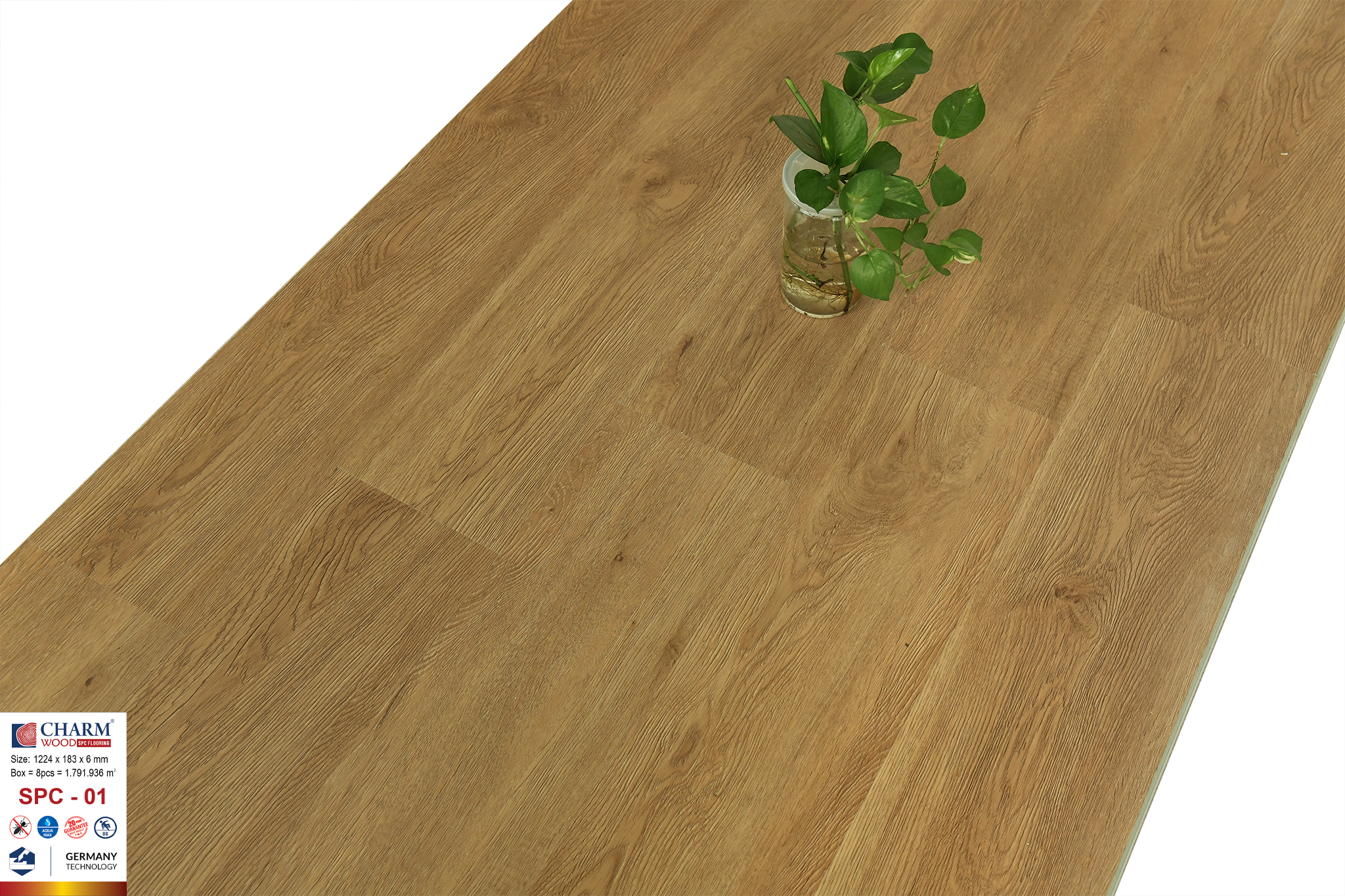 sàn nhựa charm 6mm spc 01 1 sàn nhựa charm 6mm spc 01 1