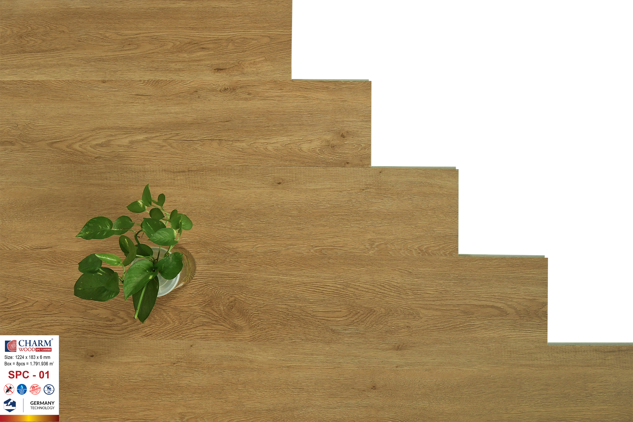 sàn nhựa charm 6mm spc 01 3 sàn nhựa charm 6mm spc 01 3