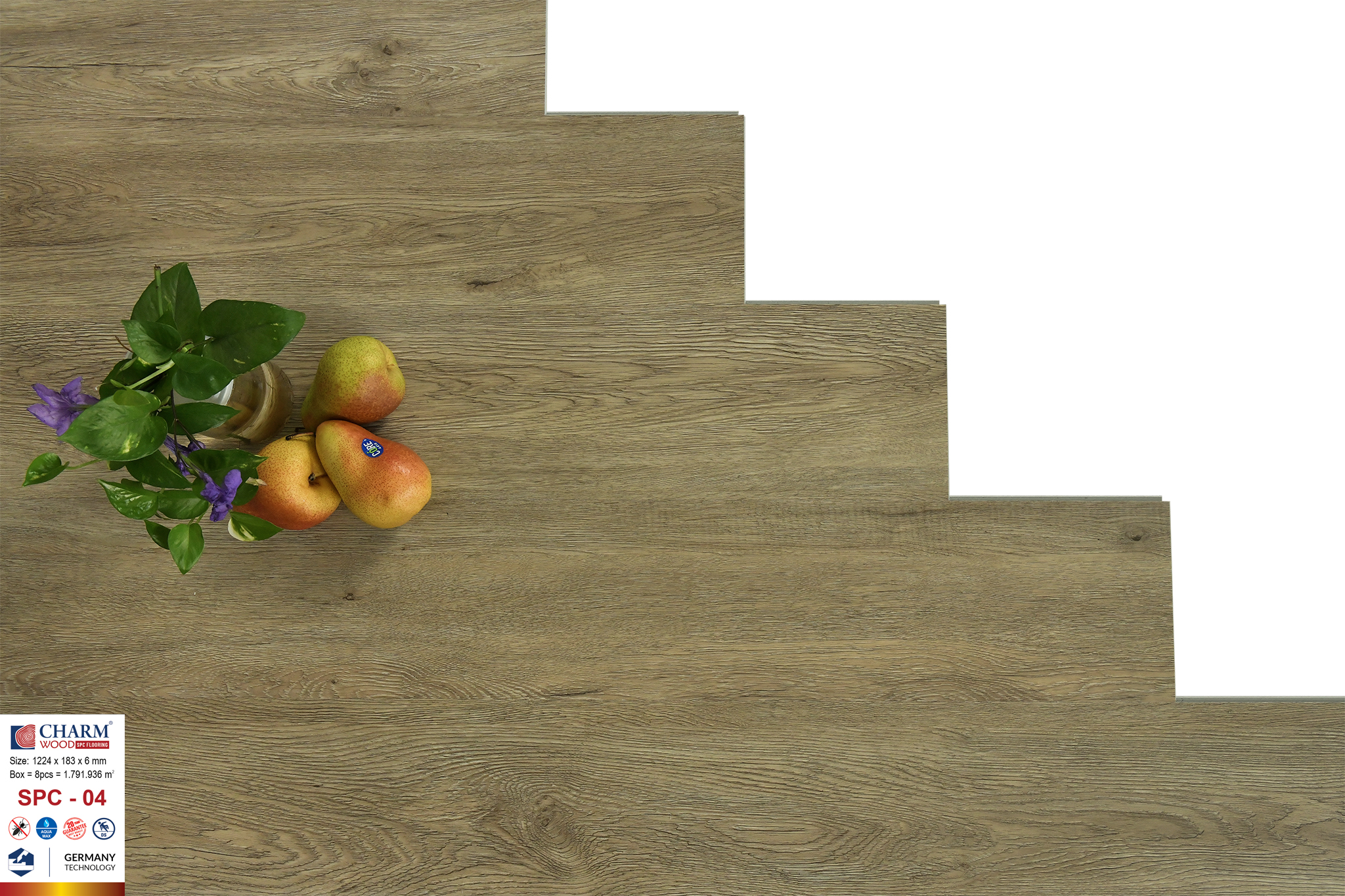 sàn nhựa charm 6mm spc 04 3 sàn nhựa charm 6mm spc 04 3