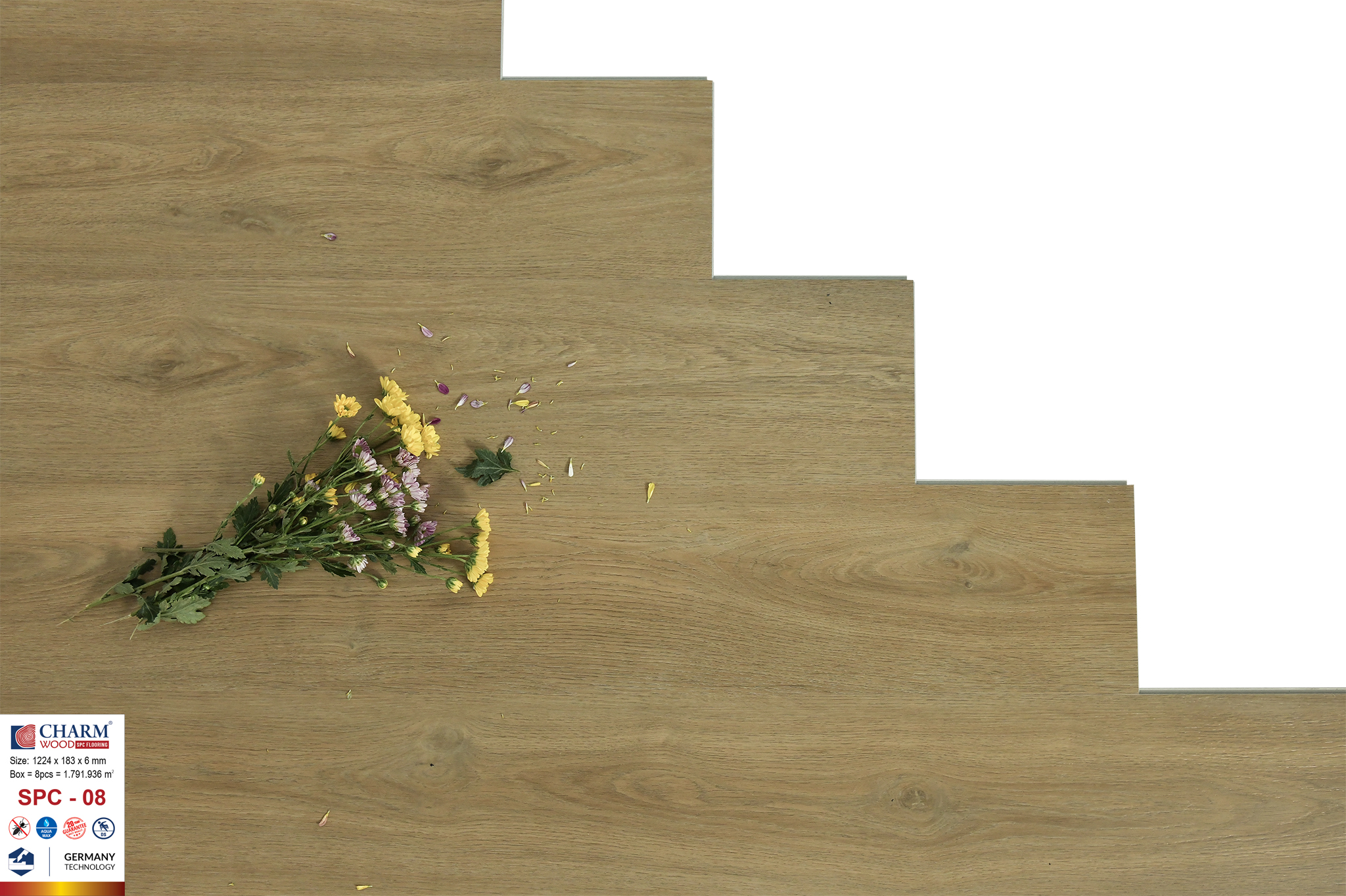 sàn nhựa charm 6mm spc 08 3 sàn nhựa charm 6mm spc 08 3