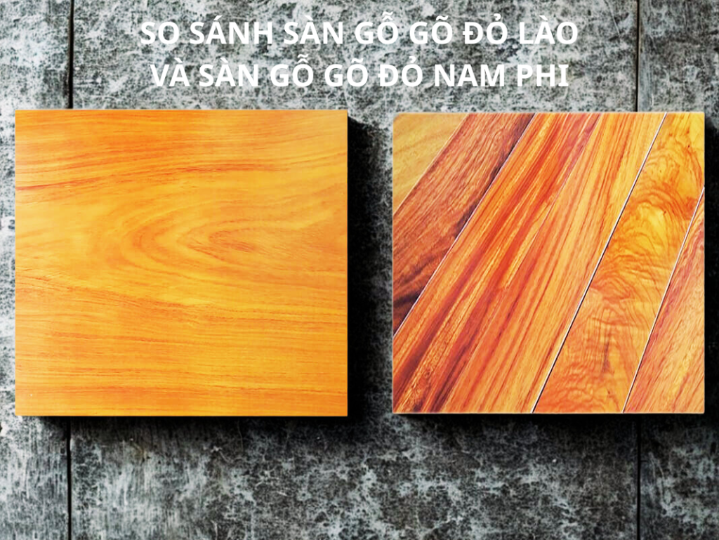 So sánh sàn gỗ Gõ Đỏ Lào và sàn gỗ Gõ Đỏ Nam Phi hinh2