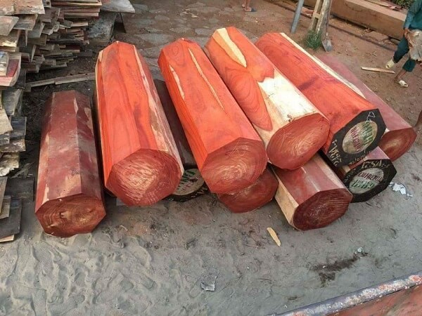 Gỗ giáng hương có tốt không Gỗ giáng hương có tốt không