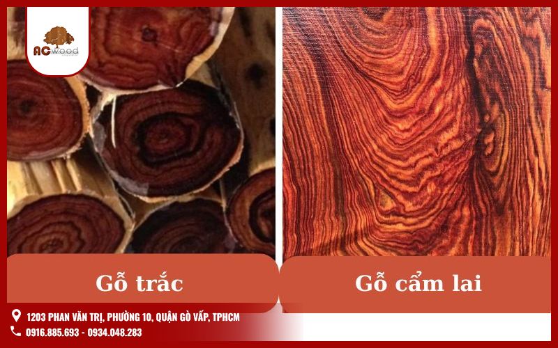 So sánh điểm chung giữa gỗ Trắc và gỗ Cẩm Lai? So sánh điểm chung giữa gỗ Trắc và gỗ Cẩm Lai?