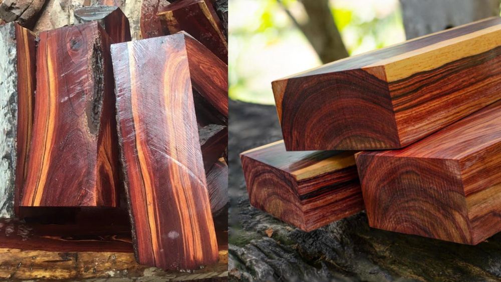 So sánh trọng lượng độ cứng của gỗ Trắc và gỗ Cẩm Lai So sánh trọng lượng độ cứng của gỗ Trắc và gỗ Cẩm Lai