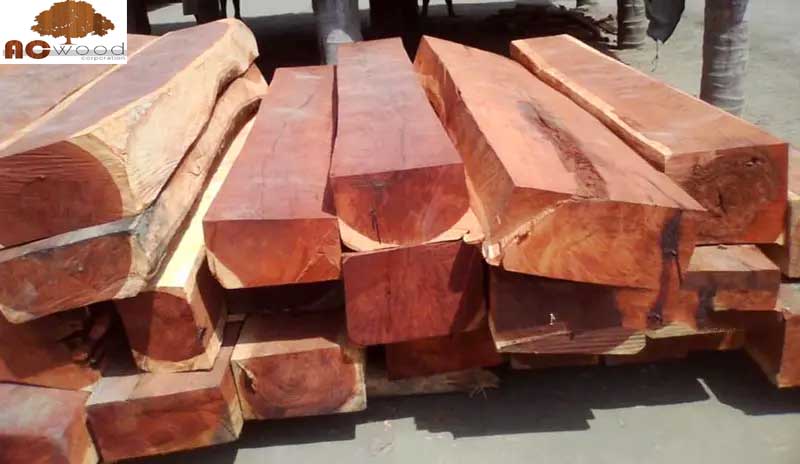 gỗ hương lào là gì