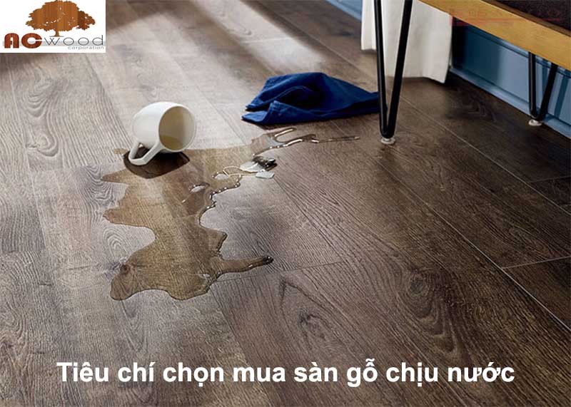 tiêu chí chọn mua sàn gỗ chịu nước